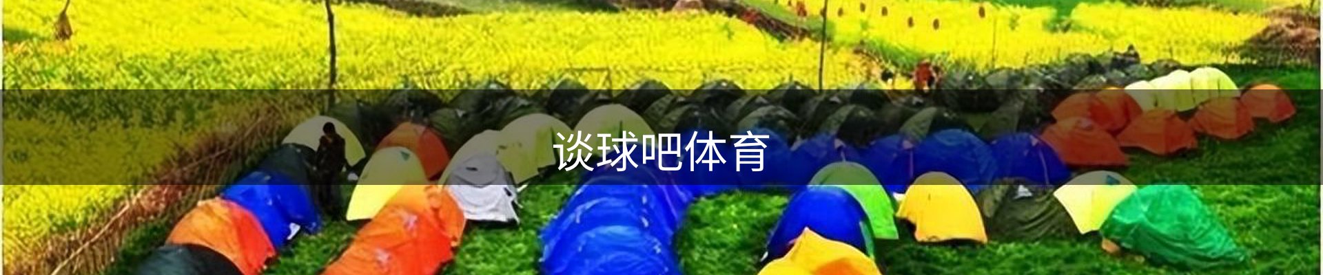 谈球吧体育